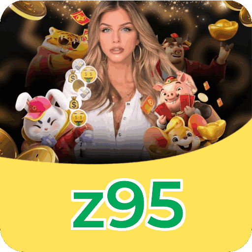 z95 — instalação e tratamento de dados na plataforma